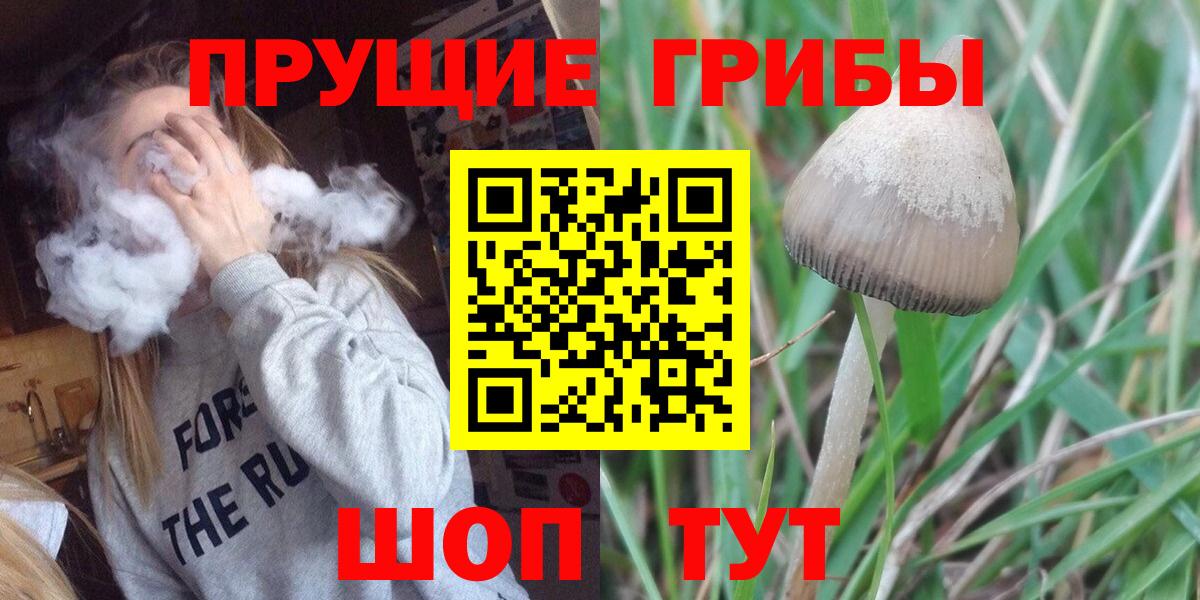 закладки  Галлюциногенные грибы Magic Shrooms  Вход с VPN  Острогожск 